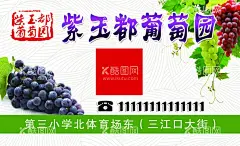 葡萄园名片  - 源文件下载【酷图网】名片,葡萄园名片,绿色名片,农业名片,葡萄