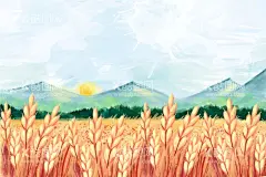 小麦田  - 源文件下载【酷图网】小麦,田野,农田,农业,插画,矢量,天空,