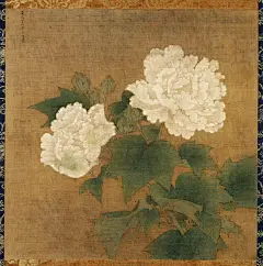 芙蓉 (1)