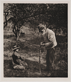 龙二采集到P.H.埃默生 Peter Henry Emerson