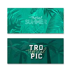 墨绿色彩 椰子叶片 特色文本 夏季海报设计AIti367a11704