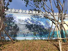 采集图片