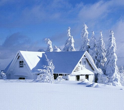 唯美图片：冬日雪景 (2)