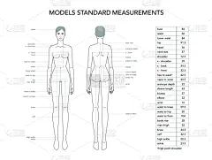 女人,时装模特,绘画插图,时尚,图表,文字,测量工具,比例,背景分离