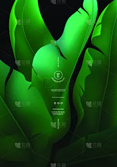 极简构图,网站横幅,热带气候,叶子,矢量,背景,热带雨林,棕榈叶,香蕉树,鸡尾酒