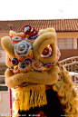 舞狮 南狮 中国 传统 文化 表演 艺术 瑰宝 节庆 华人 狮子 lion dance 一只