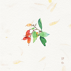 wi心心采集到Painting 水彩