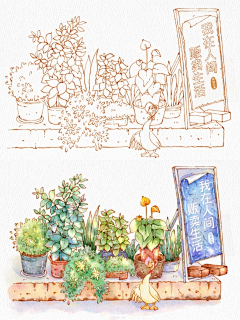 Anny888123采集到清新