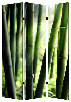 Bamboo Screen asian-...