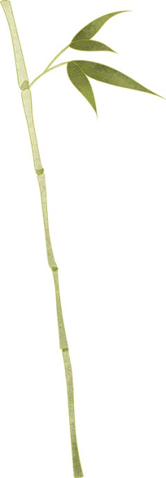 植物卡通插画中国风手绘矢量传统古代图片