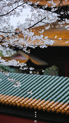 雲色影客采集到意境