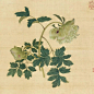 国画临本_2_南乔国画_来自小红书网页版
