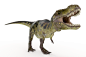 恐龙模型和恐龙化石