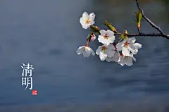 青简作品 唯美二十四节气桌面壁纸（超清）