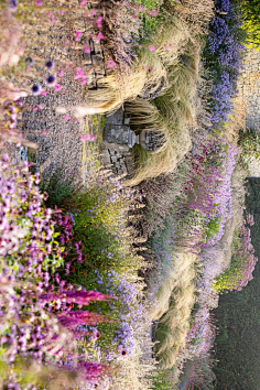 la绿植软景细节