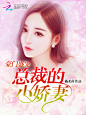 总裁的小娇妻..