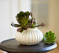 Ribbed Ceramic Vase