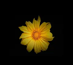 至美壁纸 静 • 黑 • 纯手机壁纸贴图