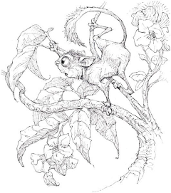正太控天然萌采集到动物-动物插画
