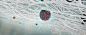 particle filter