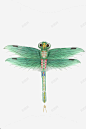 简单手绘彩色蜻蜓风筝 设计图片 免费下载 页面网页 平面电商 创意素材