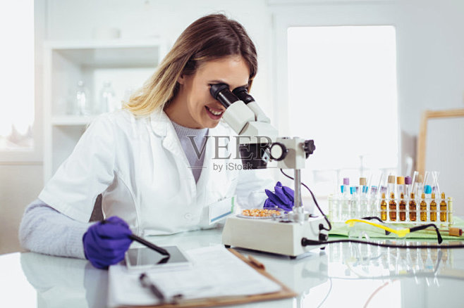 实验室,科学家,转基因,玉米,女性正版图...