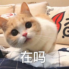 小淘呀采集到表情包
