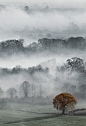 Vale of Pewsey, Wiltshire