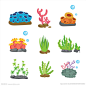 海洋生物