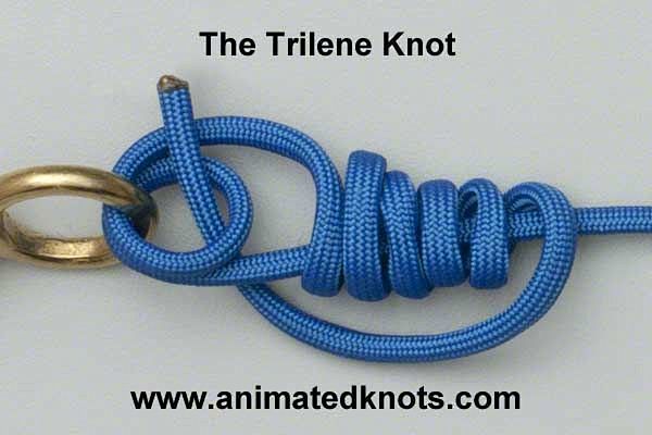 Animated knots