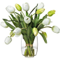 Diane James White Tulip Bouquet in Glass Vase
