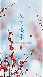 冬季问候实景晒照竖版视频三张图片可编辑