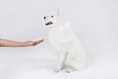 图片下载