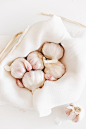 Photo by Gaelle Marcel on Unsplash : Garlic. Download this photo by Gaelle Marcel on Unsplash