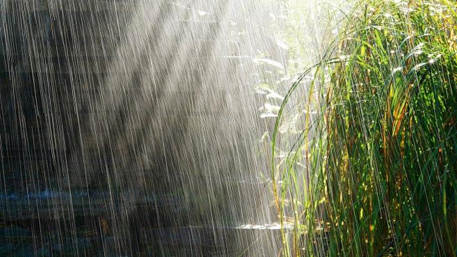 [唯美雨景壁纸]