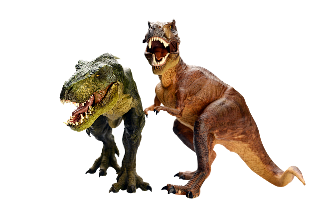 恐龙  动物  素材 PNG 免抠图
