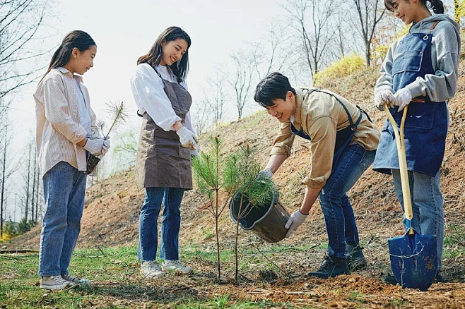 韩国人，树苗，植树节，环保，植树，女人，...