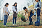 韩国人，树苗，植树节，环保，植树，女人，男人，孩子，撒播图片下载