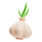 Garlic  3D Illustration