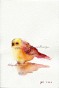 Little Bird  ORIGINAL watercolor painting by WaysideBoutique, $30.00