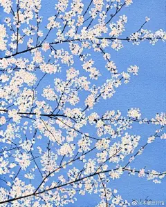 水彩---樱花-梨花-桃花-海棠花、梅花 - 高清图片，堆糖，美图壁纸兴趣社区