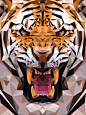 "Geometric Tiger Made From Tr…" in Illustration : Geometric Tiger Made From Triangles – The Meta Picture