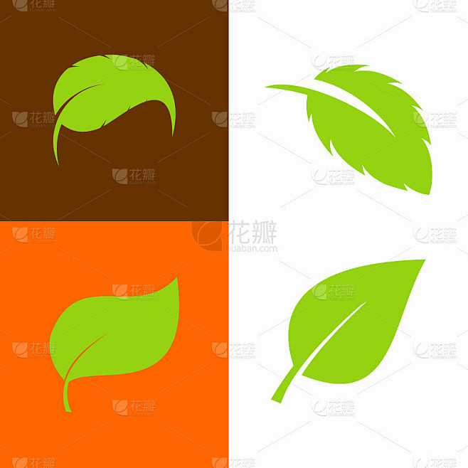 叶子图标向量。各种形状的绿叶。生态和生物标志的元素。