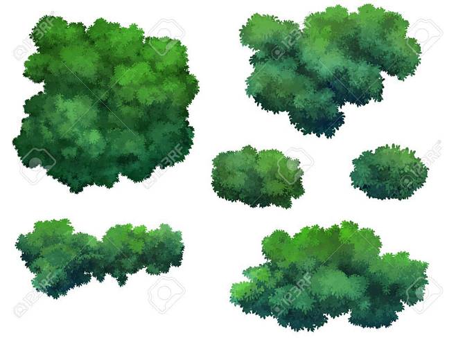 57984702-bush-for-cartoon-isolated-on-white-background