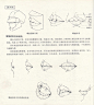 人体造型基础——人体局部解剖