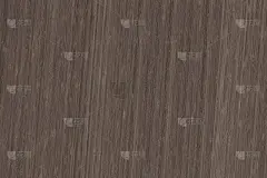 亚洲竹木树纹理背景壁纸