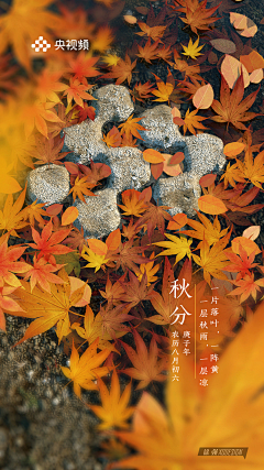 菊子清采集到平面海报排版
