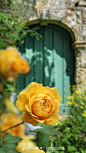 share_8c2c59f6bd4731ce68f1f49363ef876a.png (1080×1920)