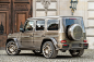  Carlex Was Inspired By Falconry In Creating This One-Off Mercedes G-Wagen