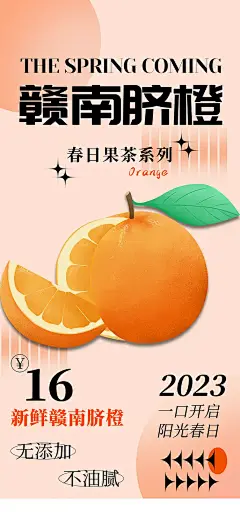 清新脐橙橙子水果海报3